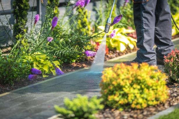 Reliable Deer Park, IL Pressure Washing Services Solutions