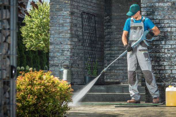 Best Roof Cleaning and Mildew Removal in Deer Park, IL