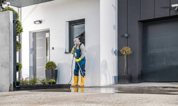 Best Driveway Cleaning and Restoration in Deer Park, IL